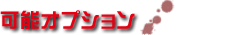 可能オプション