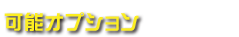 可能オプション
